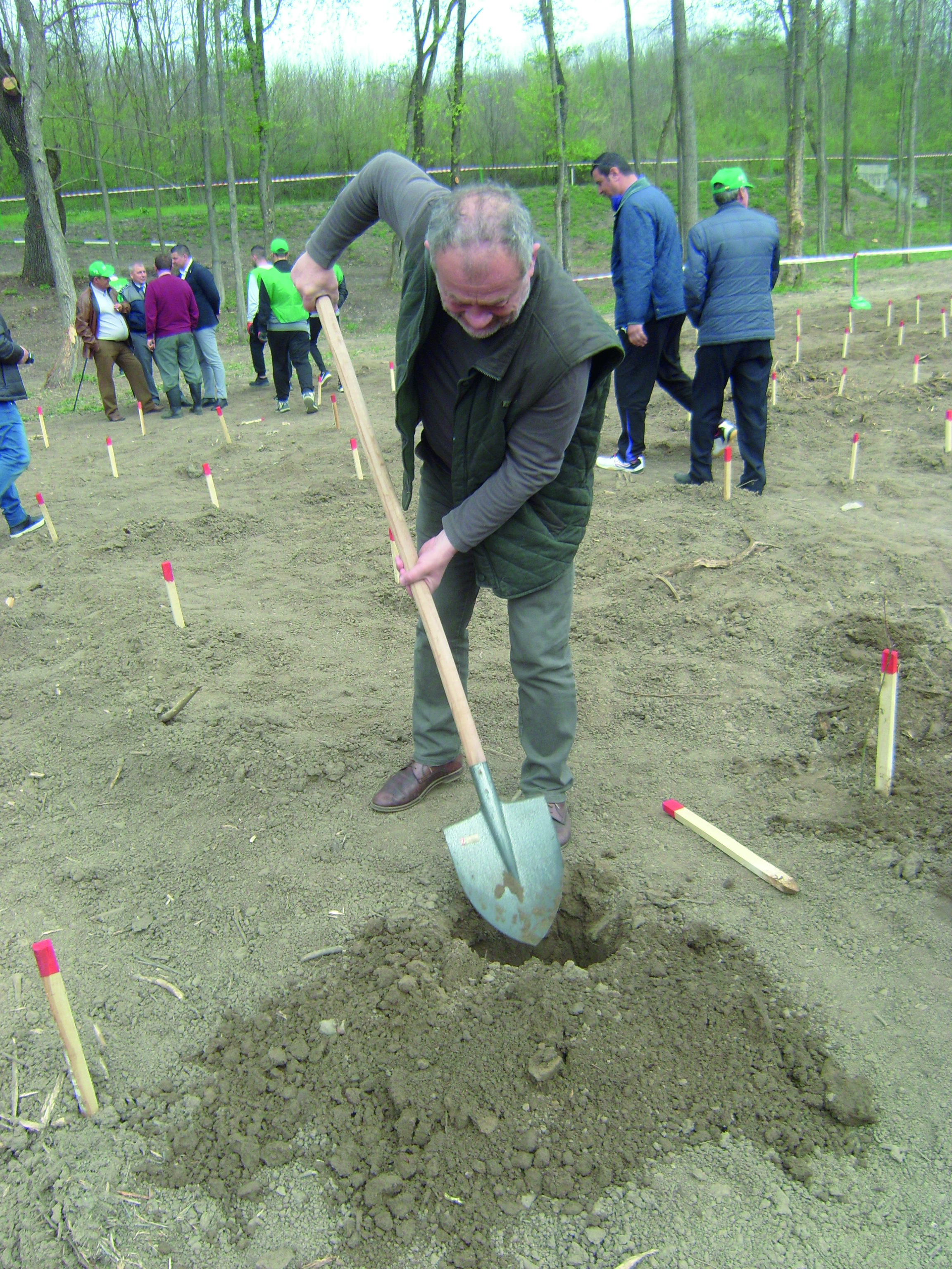 Dumitru Buzatu