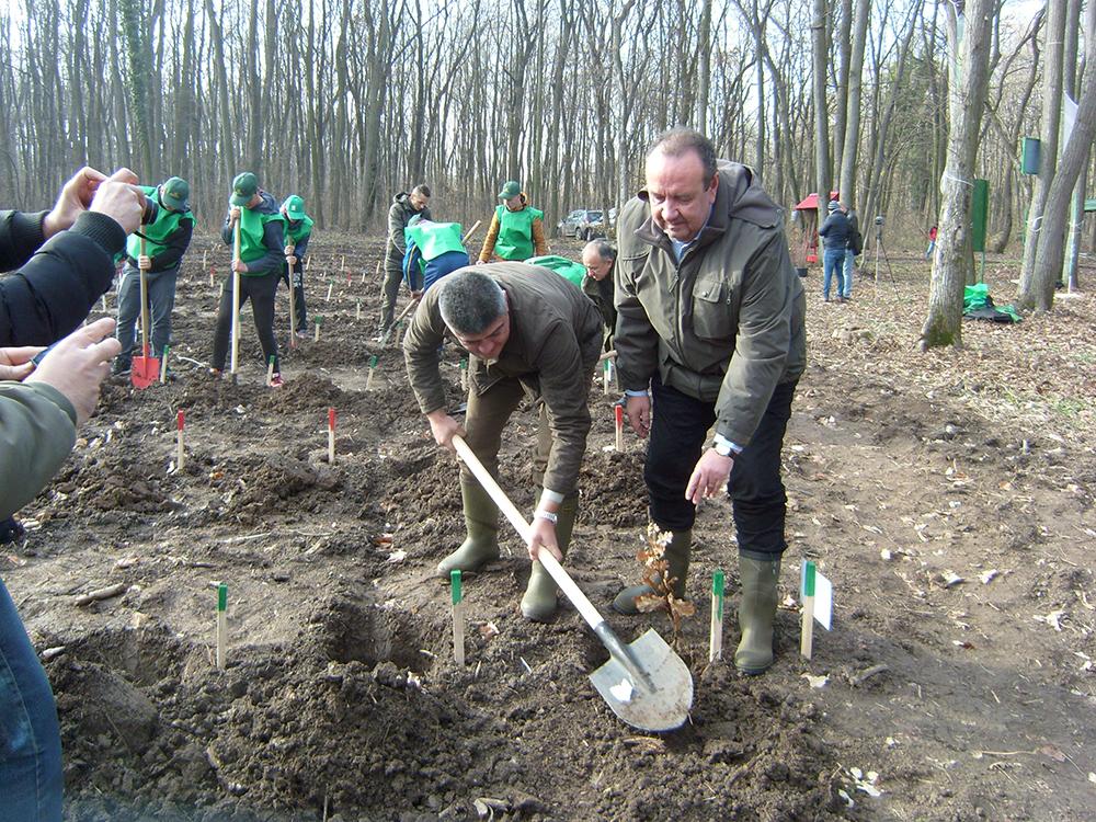 Ciprian Pahontu