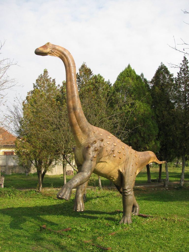 Turism şi cros printre dinozauri