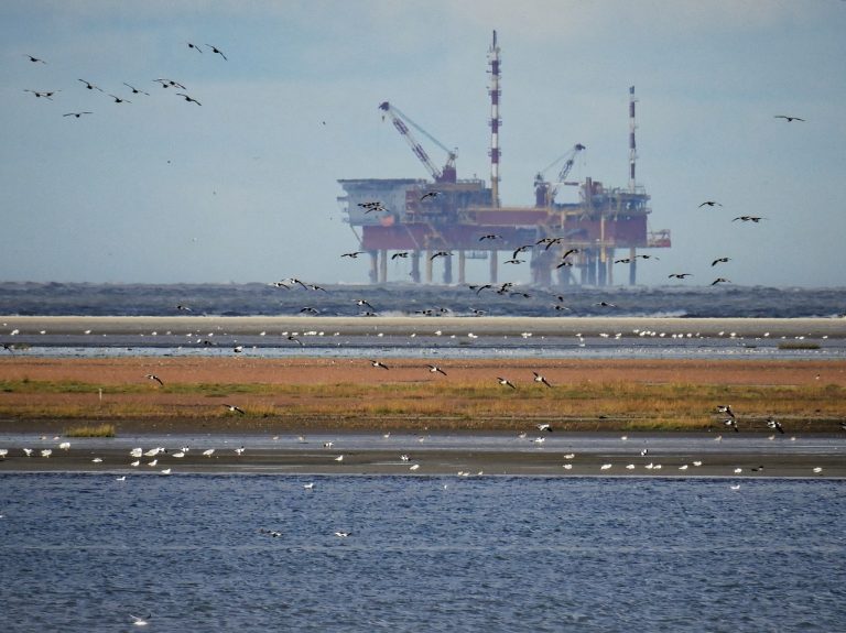 OPEC, din nou sub presiune după ce barilul de petrol scade sub 50 dolari