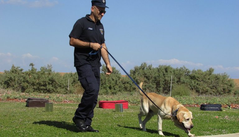Demonstrație cu câini special antrenați pentru depistarea contrabandei la Vama Giurgiu de Ziua Deschisă a Vămilor