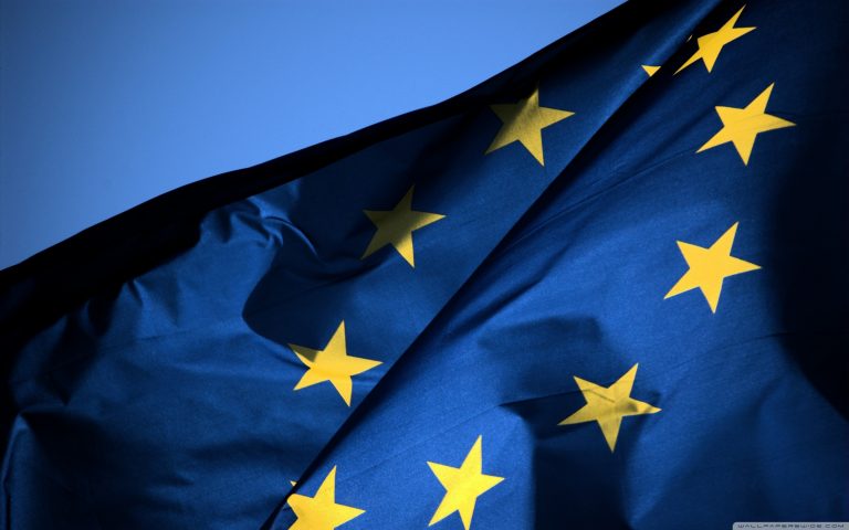 Ana Birchall: Trebuie să avem curajul să modificăm ADN-ul economic românesc și să promovăm politici care să asigure creștere economică și echitate socială