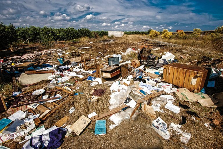 Un an ecologic pentru depoluare