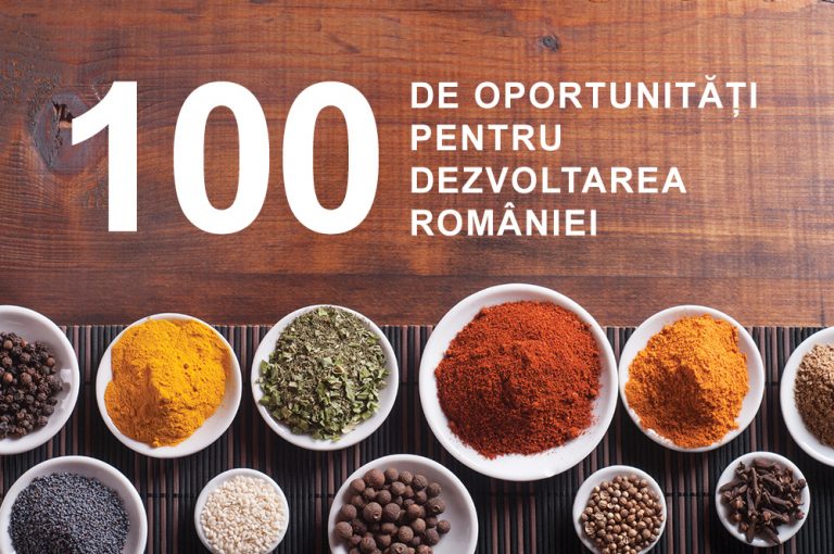 Cum ar arăta un nou model economic bazat pe competitivitate și de unde pornim?
