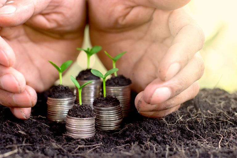 AGRIBUSINESS: Contribuția agriculturii la viitorul model economic românesc