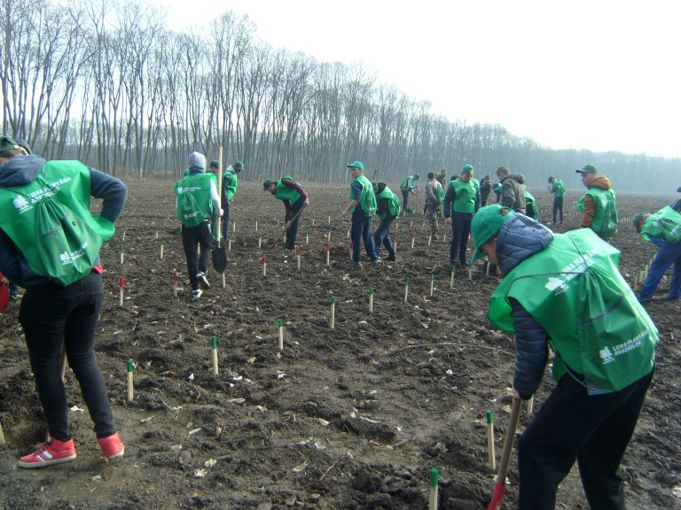 Romsilva a deschis campania de împăduriri