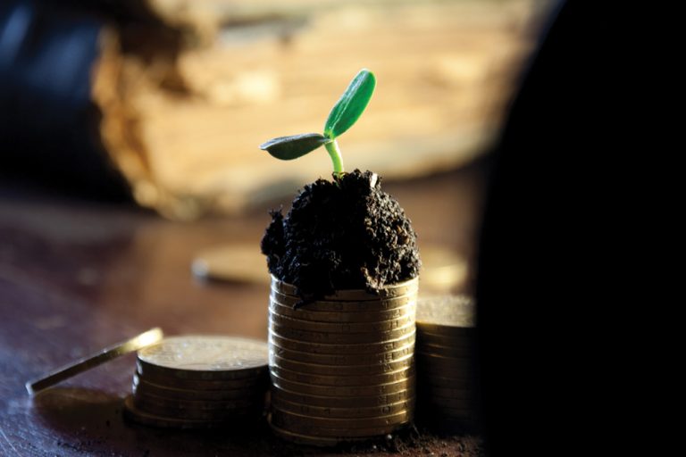 Importanța ecosistemului antreprenorial pentru economie