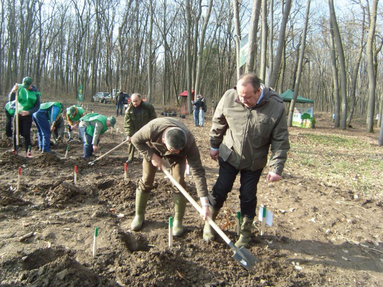 Performanță la Romsilva: pădurea  înnoită mai ales prin regenerări naturale