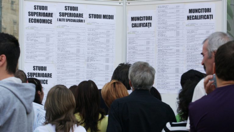 Locuri de muncă vacante