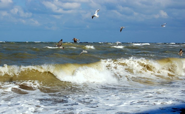 Parteneriat româno-bulgar la Marea Neagră