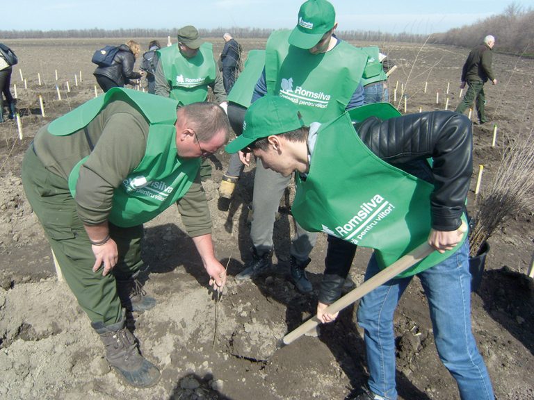 Perdeaua care opreşte viscolul la marginea autostrăzii