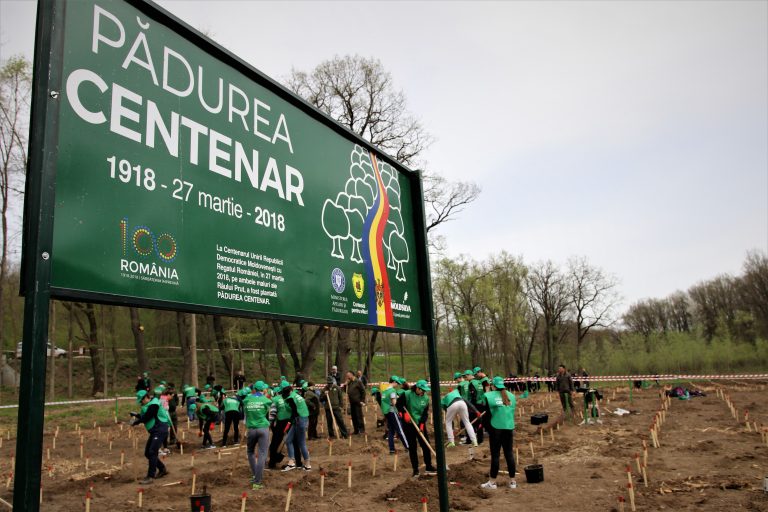 Romsilva şi Moldsilva au plantat Pădurea Centenar