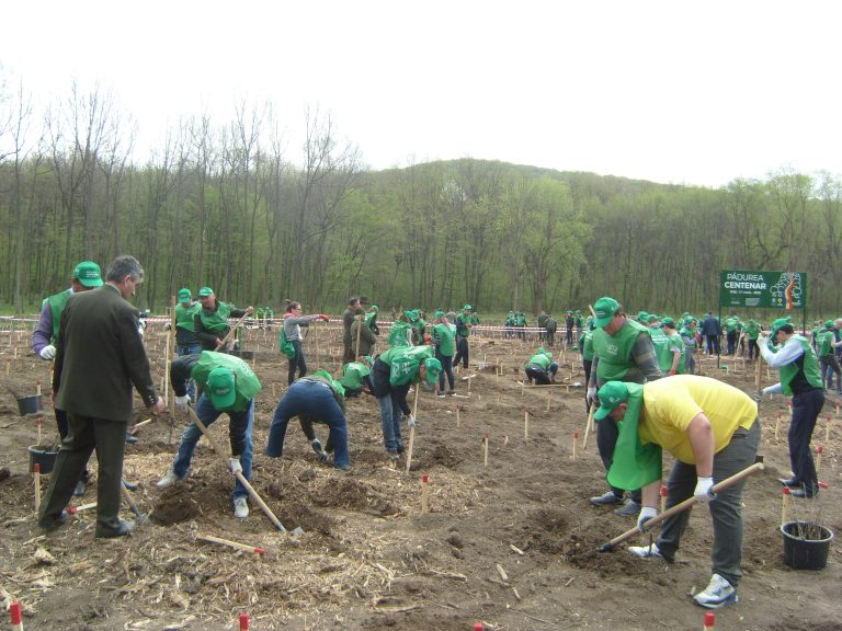 Pădurea Centenar, de-o parte și de alta a Prutului