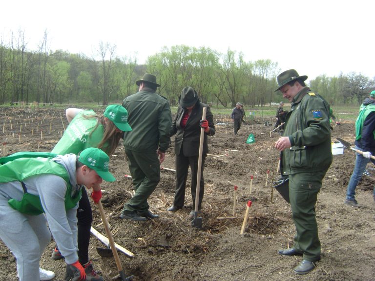 23.000 de voluntari angrenaţi de Romsilva la împăduriri