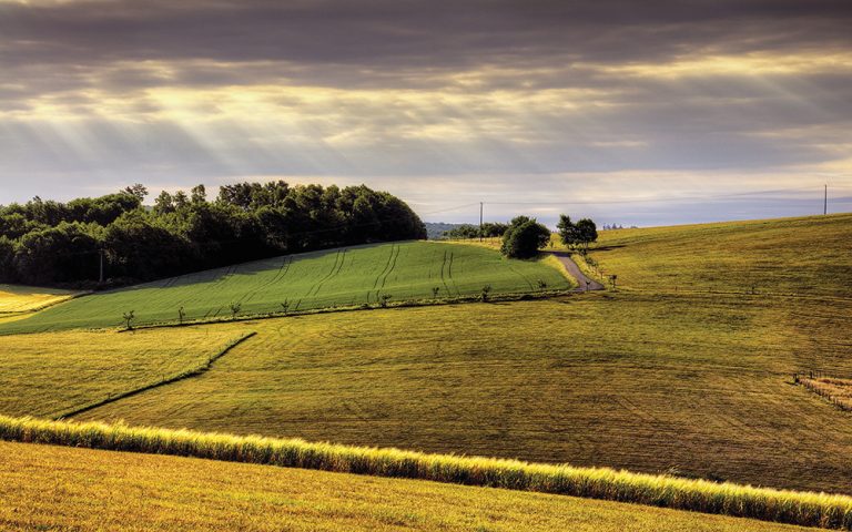 ROLUL PEDOLOGIEI ȘI AL LEGII SOLULUI ÎN AGRICULTURA ROMÂNEASCĂ