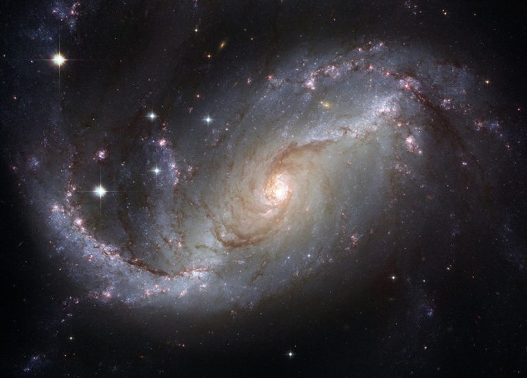 Competiție și colaborare în Cosmos