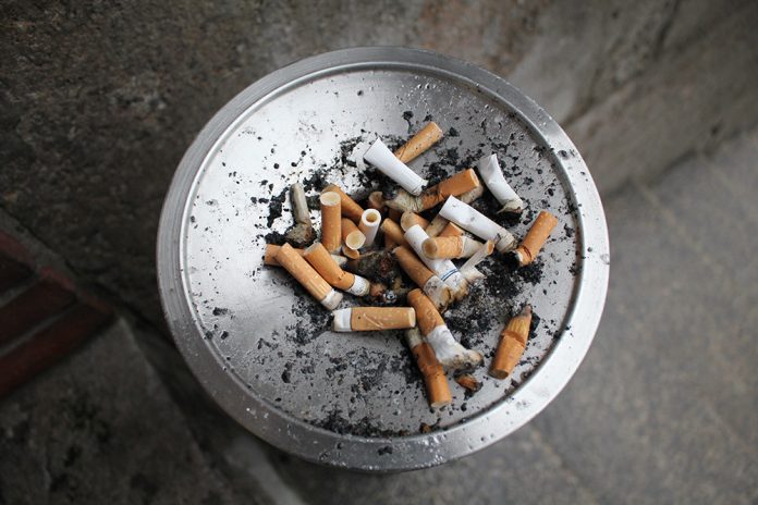cigar