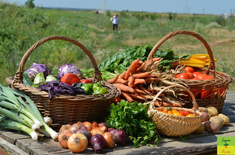 Schema UE pentru școli: 18.5 milioane de euro, sumă alocată României pentru fructe, legume și lapte în anul școlar 2020/2021