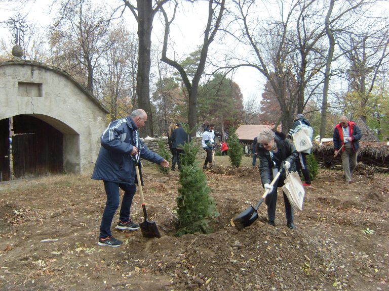 O sută de mari sportivi au plantat Pădurea Olimpică