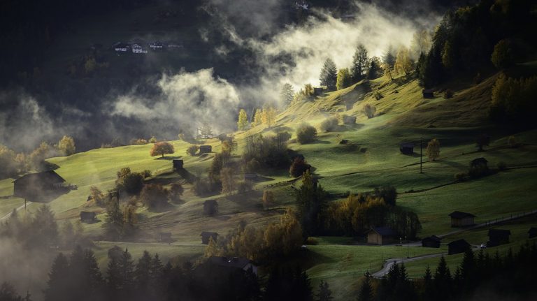 Dispar pădurile României? Ce ne spune Inventarul Forestier Național?