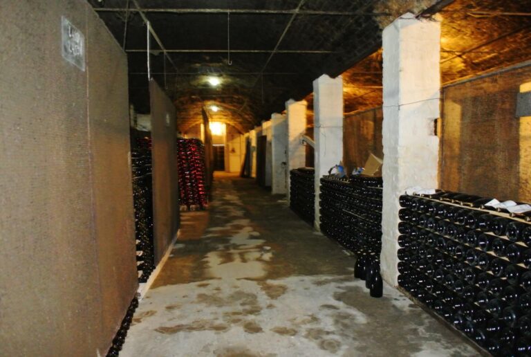 Producerea vinurilor și distribuția bunurilor de larg consum, eligibile pentru granturi