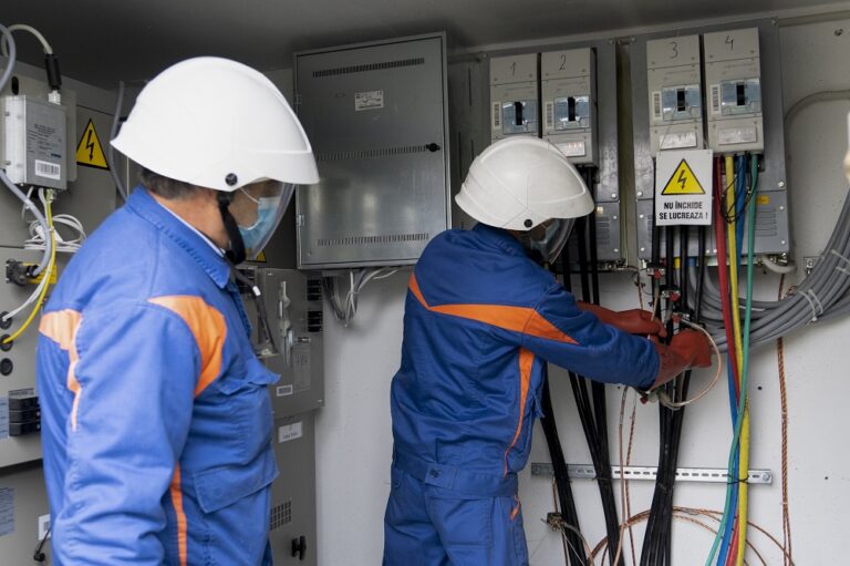 E-DISTRIBUȚIE BANAT A INVESTIT 127 DE MILIOANE DE ÎN 2020 ÎN MODERNIZAREA REȚELELOR, ÎN BENEFICIUL A PESTE 916.300 DE CONSUMATORI