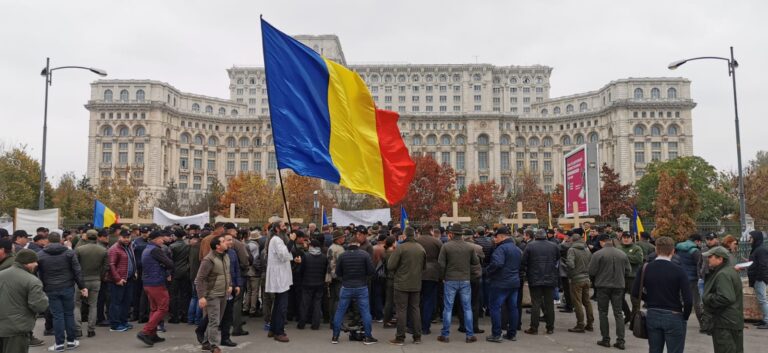 Semnal de alarmă al silvicultorilor