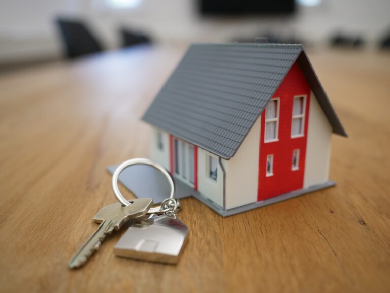 Studiu Reveal Marketing Research la nivel național: Ce aleg tinerii între casă și apartament?