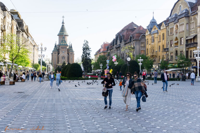 Buget mărit pentru inițiative bilaterale „Timișoara Capitală Europeană a Culturii 2023”