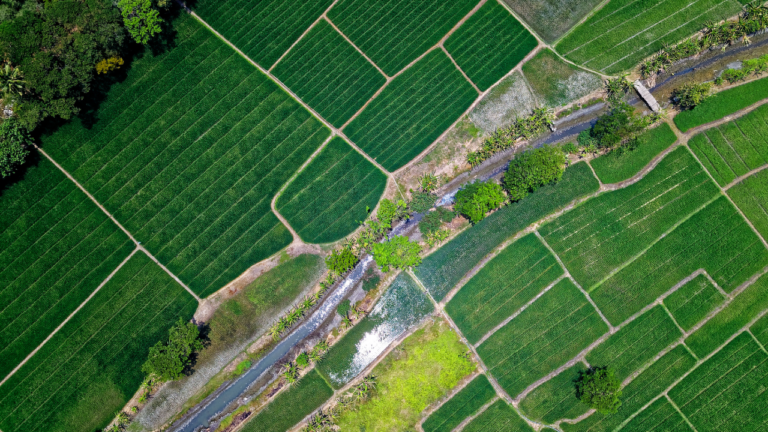 Peste 50 de startupuri tech românești implicate în inovarea industriei