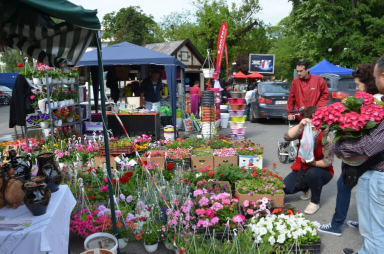 Zilele Horticulturii Bucureștene, 13-16 mai, USAMV București
