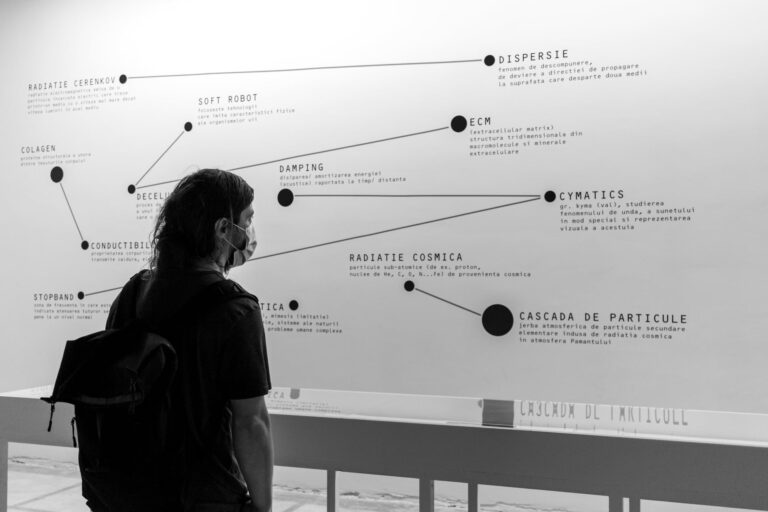 Programe comune de știință și artă