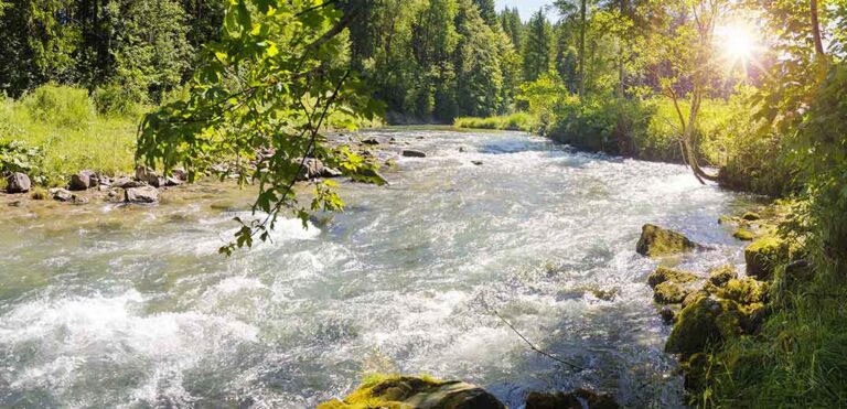 Reîmpădurire și o infrastructură de apă mai bună