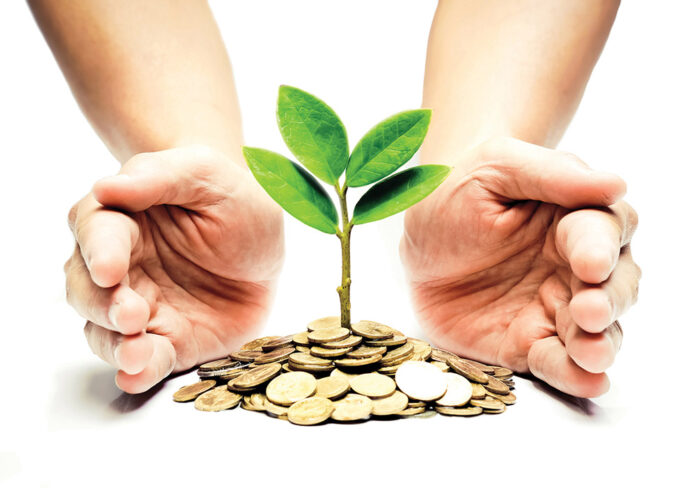 bani, economie, investitii