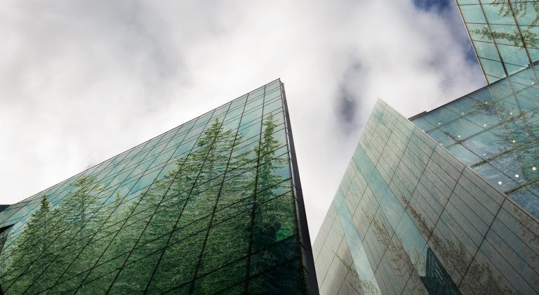 STUDIU Accenture: Companiile care au un ADN de sustenabilitate puternic generează cu 21% mai mult profit și au un impact pozitiv de durată asupra societății și a mediului