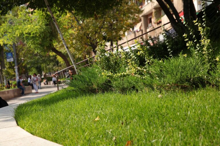 Cercetare a Universității din București pe baza percepției cetățenilor privind infrastructura verde a orașului