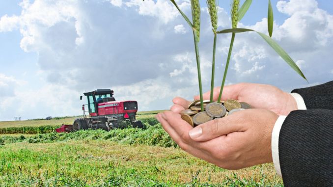 Guvernul a aprobat trei acte normative pentru agricultori