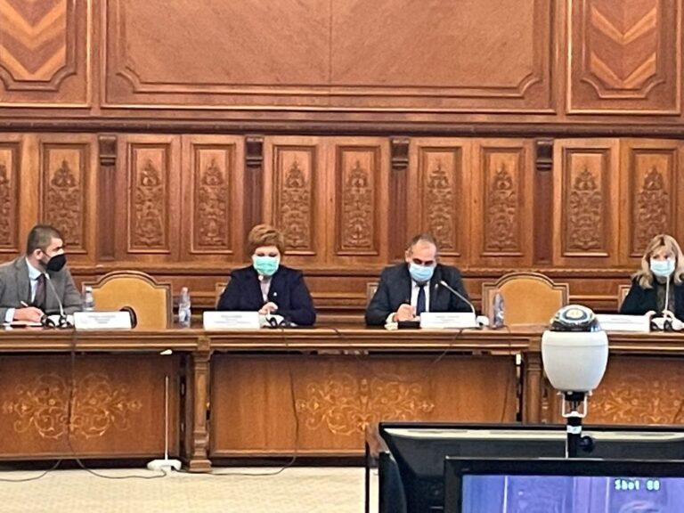 Oana Ozmen: Creşterea preţului materialelor de construcţii va determina o majorare a preţului imobilelor
