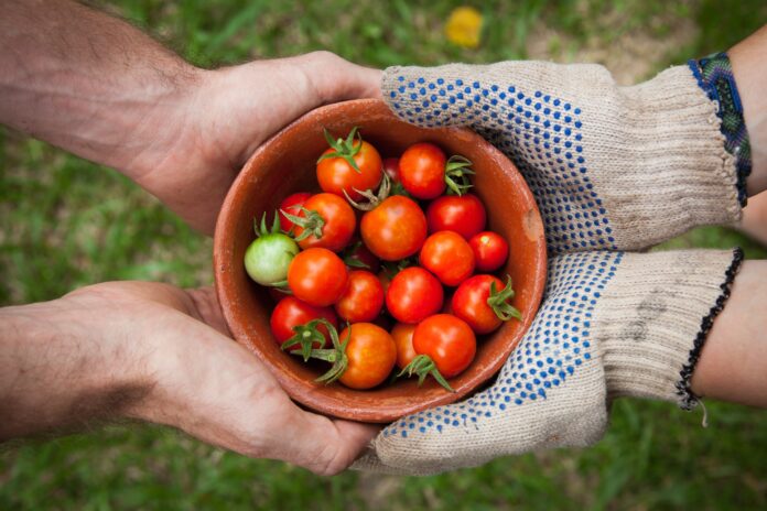 agriculture