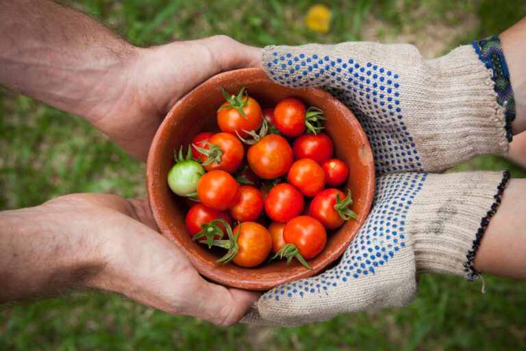 O hrană mai sănătoasă și sustenabilă prin strategia „De la fermă la consumator”