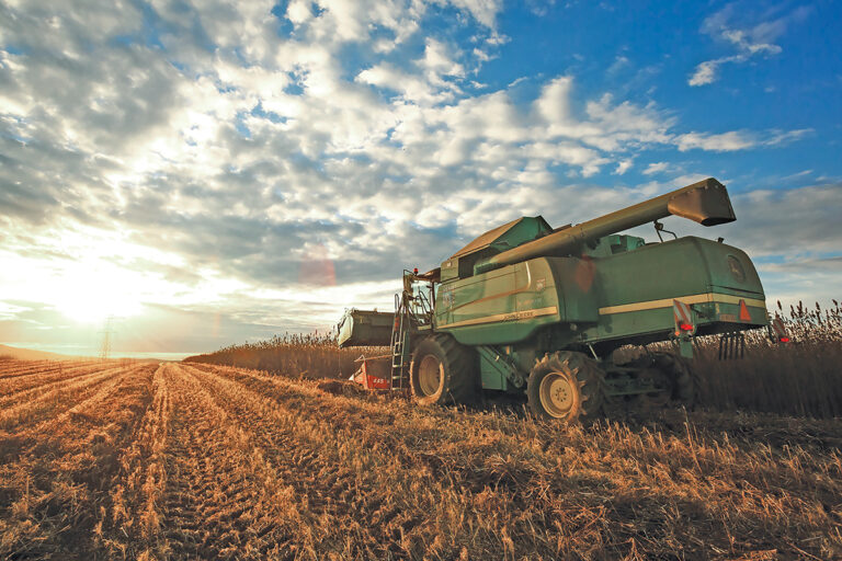 2021, AN DE REVENIRE PENTRU AGRICULTURA ROMÂNEASCĂ