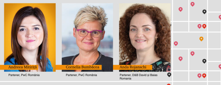 PwC România și D&B David și Baias au asistat grupul francez Piriou în achiziția Șantierului Naval ATG din Giurgiu