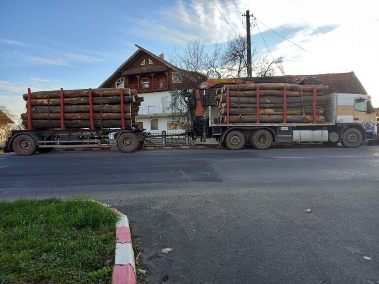 Criza pe piața lemnului se agravează