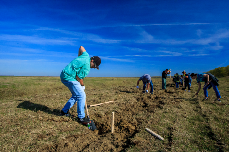 Peste 220 de gospodari români practică agricultură regenerativă la Zimnicea, în cadrul programului socio-economic „O șansă pentru familia ta” susținut de Danone și partenerii săi