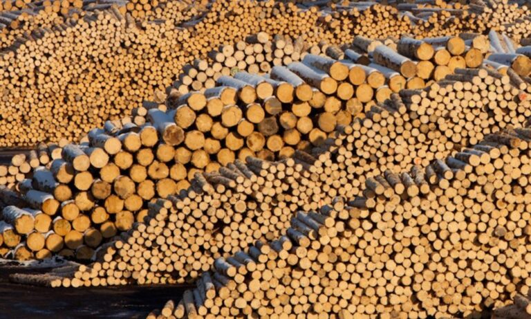 În plină criză energetică, România ignoră combustibili eficienți, lemnul și biomasa
