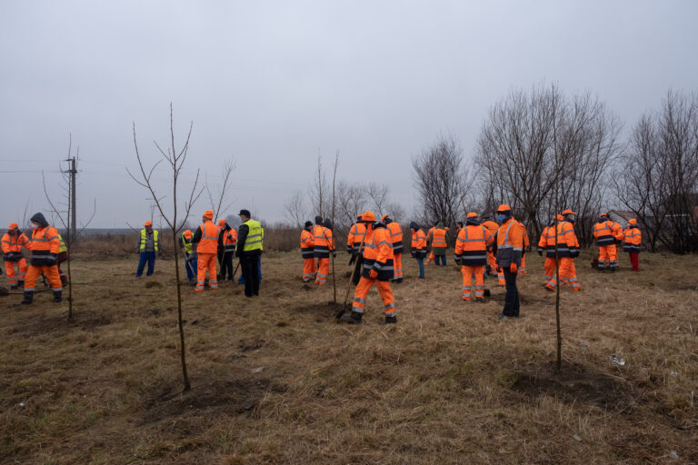 Campanie de plantare a grupului Wienerberger