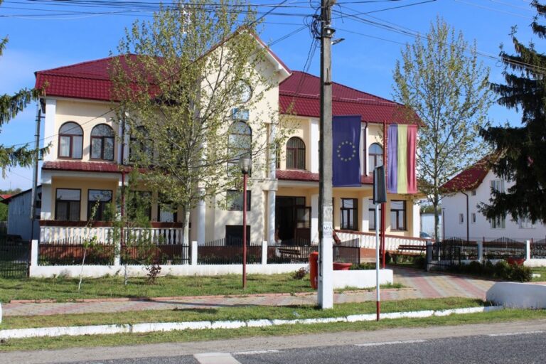 Servicii digitale la primării, prin aplicația Regista