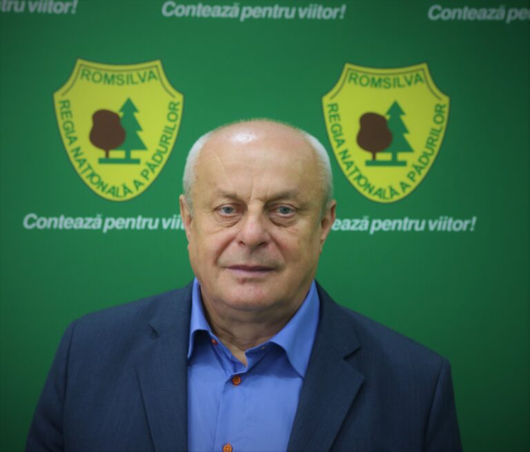 Romsilva a depășit cu 4,3% programul de regenerare a pădurilor în 2021