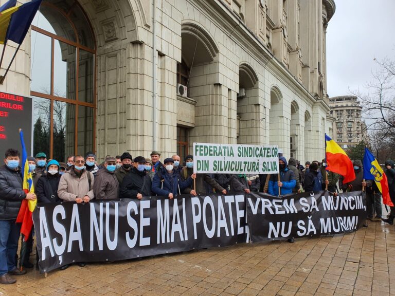 O zi neagră pentru cei 415 salariați de la Regia Națională a Pădurilor – Romsilva, care vor primi deciziile de concediere