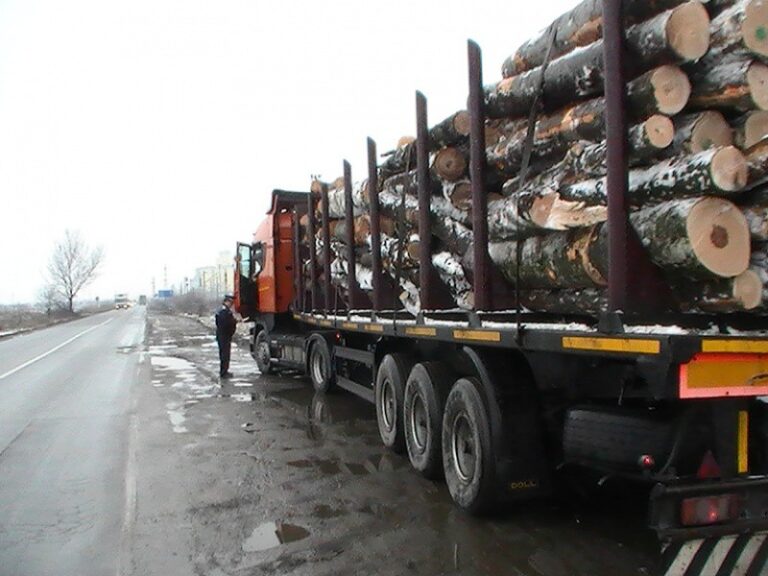 Interzicerea emiterii noaptea de avize de transport de lemne de la locul recoltării